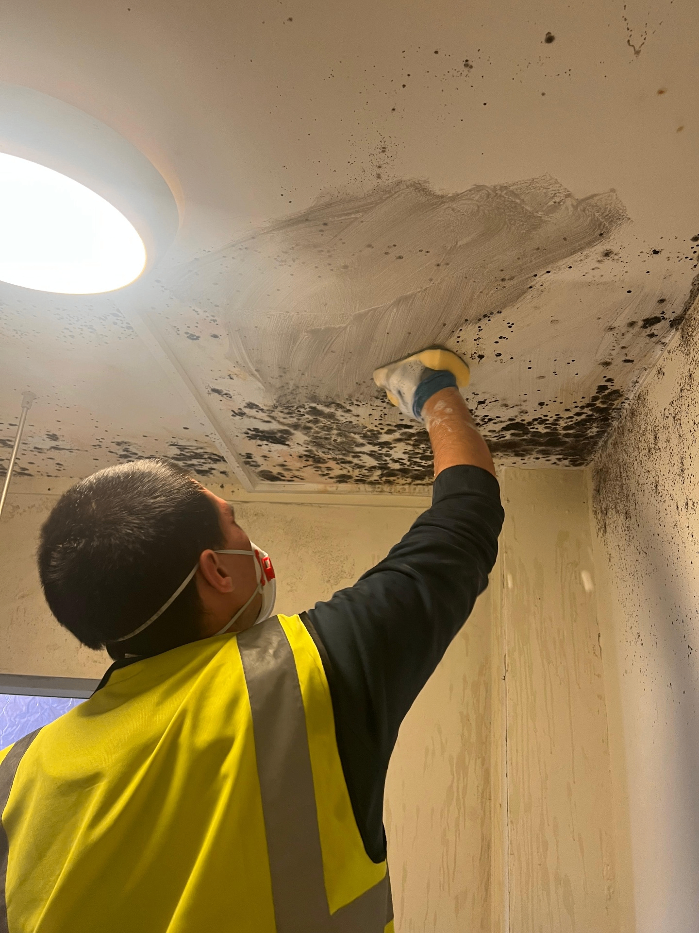 Operative removing black mould from a ceiling