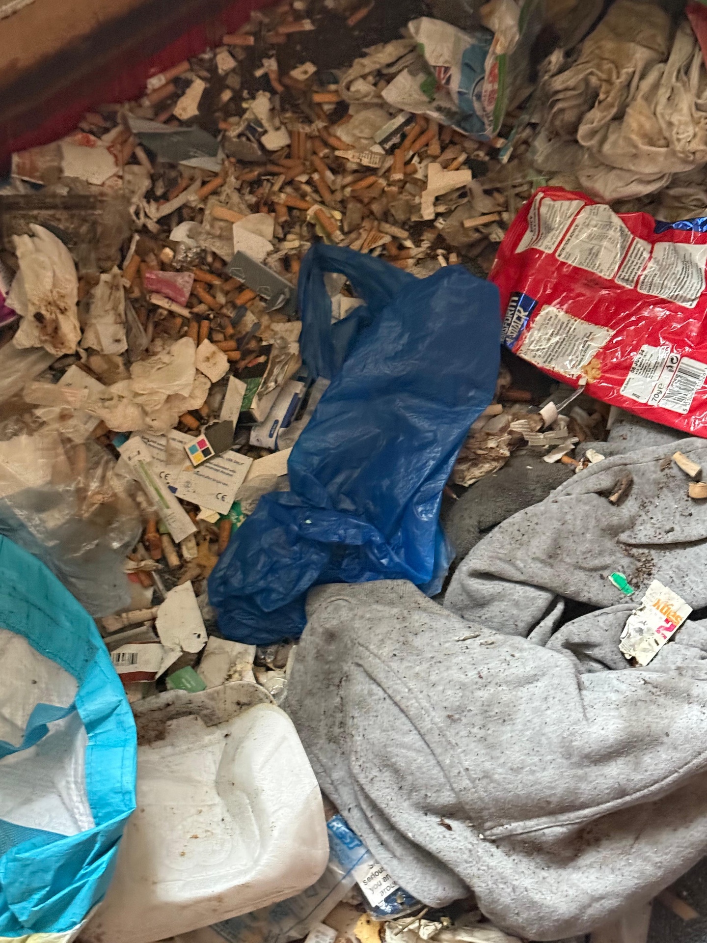 Hoarders clearance project by Marsh Environmental — photo 9
