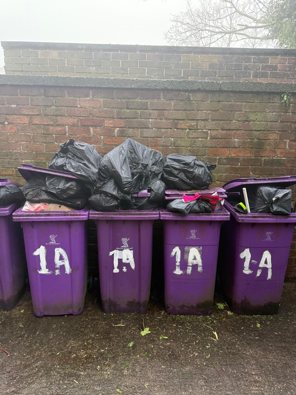 Loaded waste bins ready for licensed collection on a residential street
