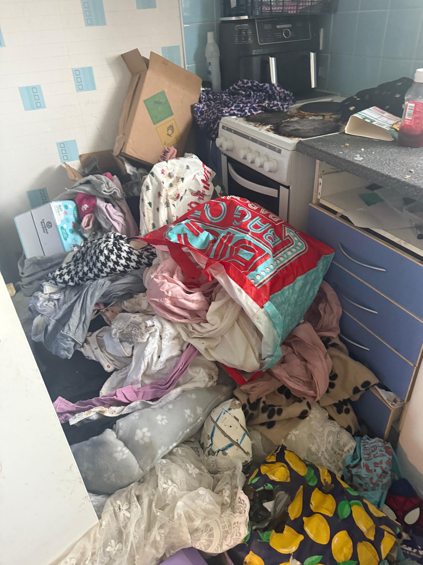 Hoarders clearance project by Marsh Environmental — photo 12